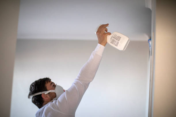 Best Mold Cleaning Services  in Potomac, MD