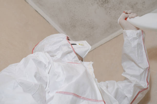 Best Local Mold Removal Service  in Potomac, MD